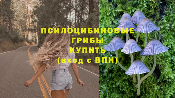 дживик Лихославль