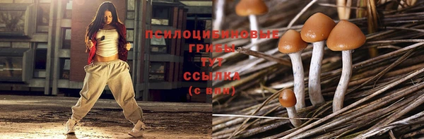 дживик Лихославль